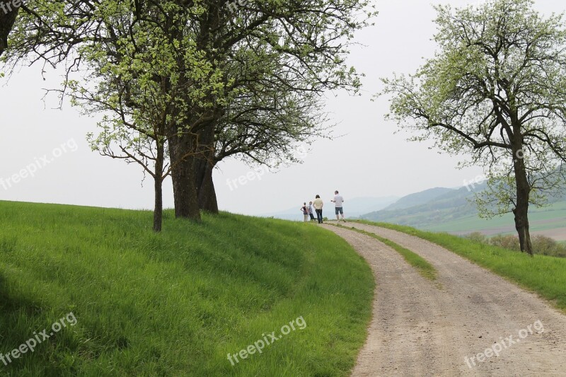 Wachau Landscape Trees Away Height