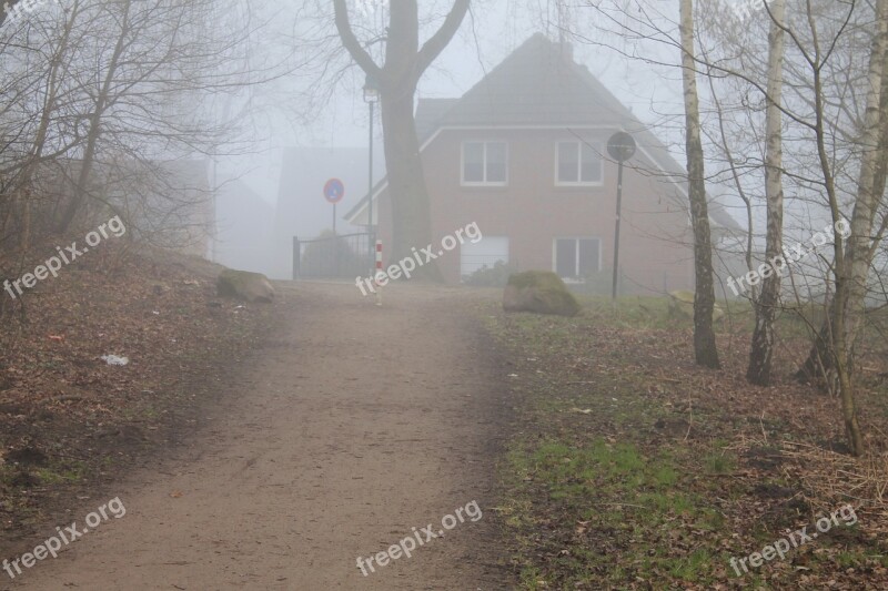 Away Tree House Fog Free Photos