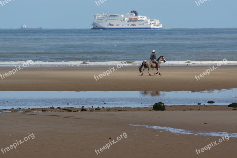 Horse Beach Beach Rider Reiter Sea