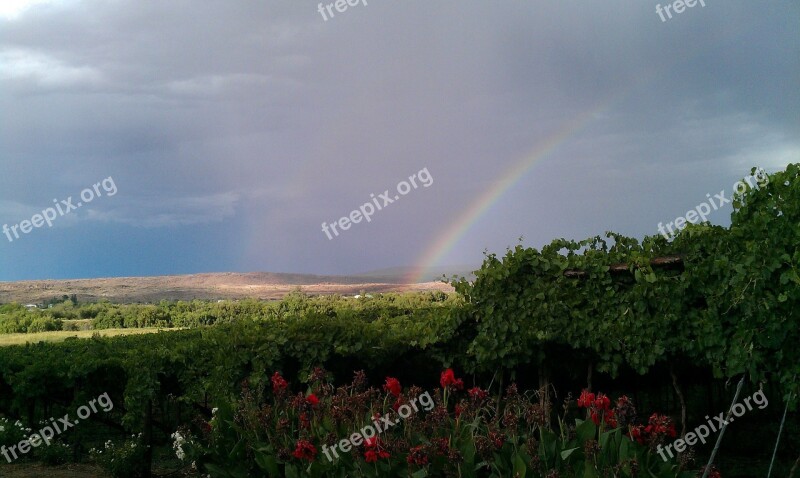 Rainbow Winery South Africa Norhern Cape Landscape