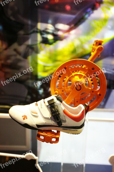 Shoes Advertising Seoul Shopping Center Free Photos