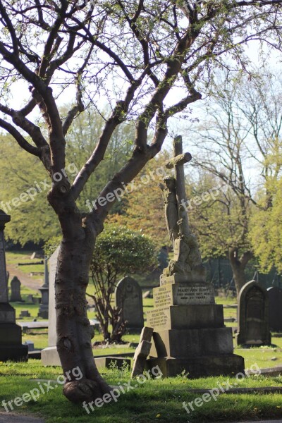 Graveyard Tree Cemetery Gravestones Winter