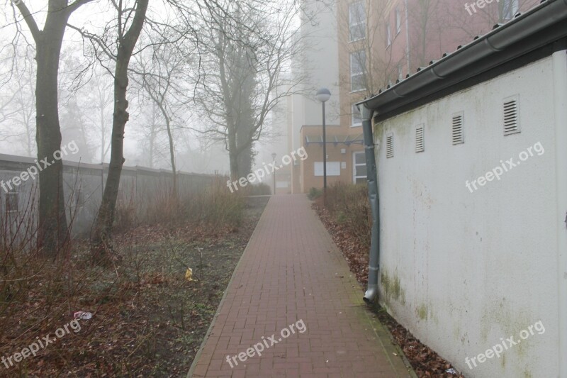 Settlement City Buildings Houses Blocks