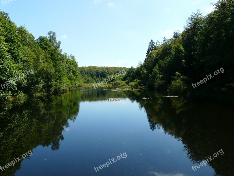 Pond Water Forest Trees Vosges