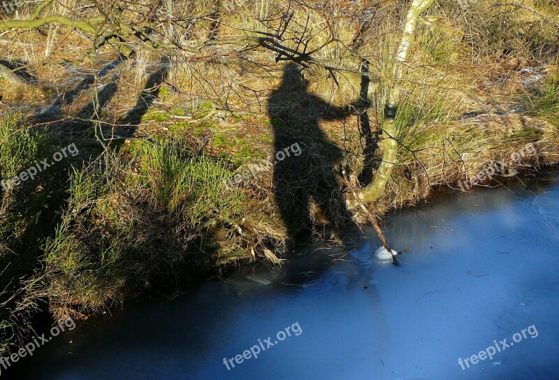 Moor Lake Pond Waters Water