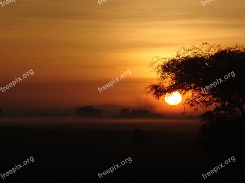 Sunset Africa Sun Safari Wildlife