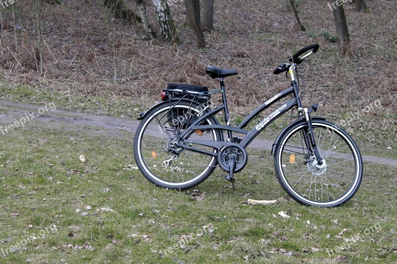 Bike Nature Forest Bicycle Tour Tour