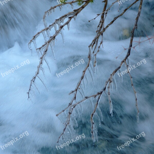 Frost Branch Cold Winter Ice