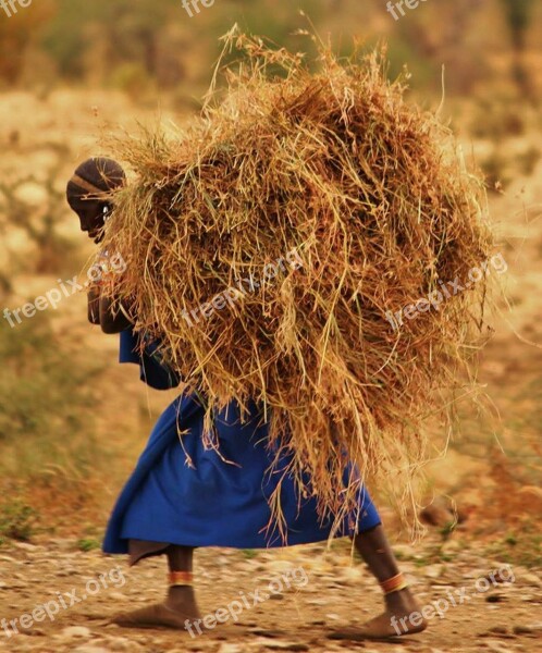 Massai People Tanzania Boma Africa