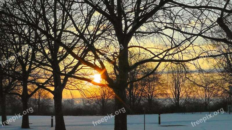 Sunrise Trees Park Morgenrot Sun