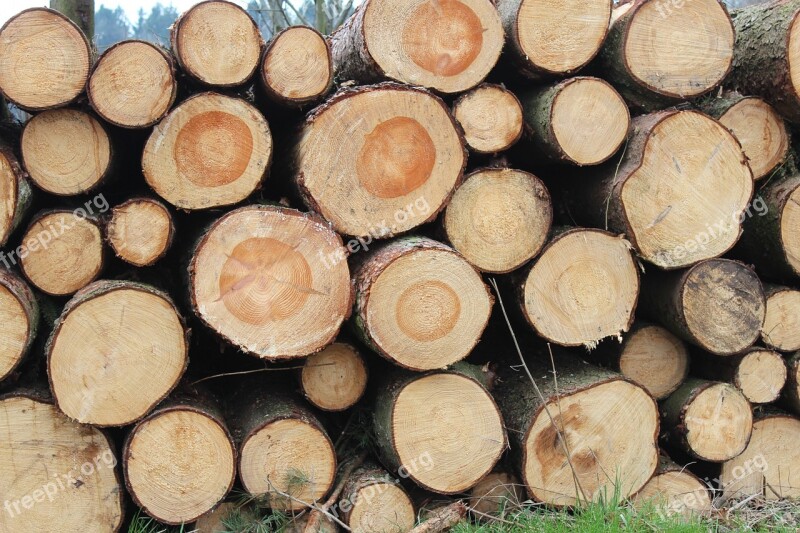 Holzstapel Like Annual Rings Wood Sawed Off