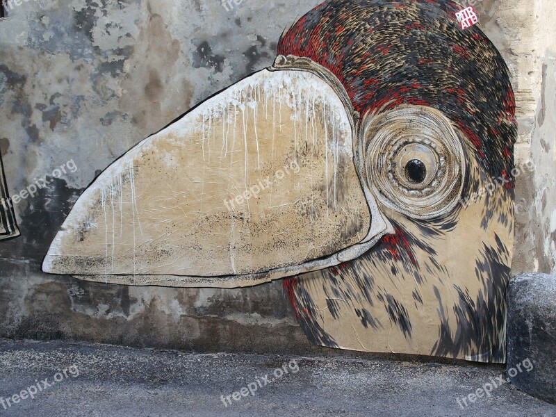 Grafiti Bird Road Art Free Photos