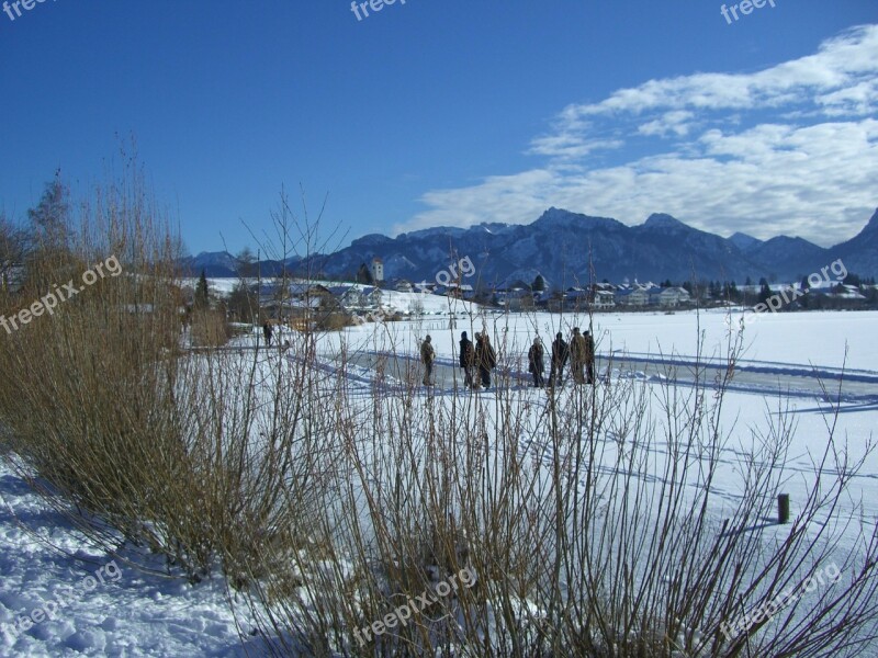 Winter Snow Lake Ice Curling Ground