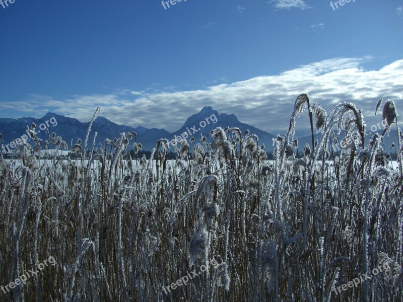 Winter Snow Mountain Panorama Alpine