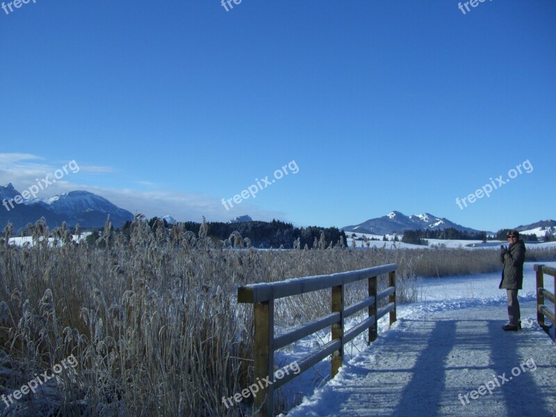 Winter Alpine Panorama Lake Bridge Reed