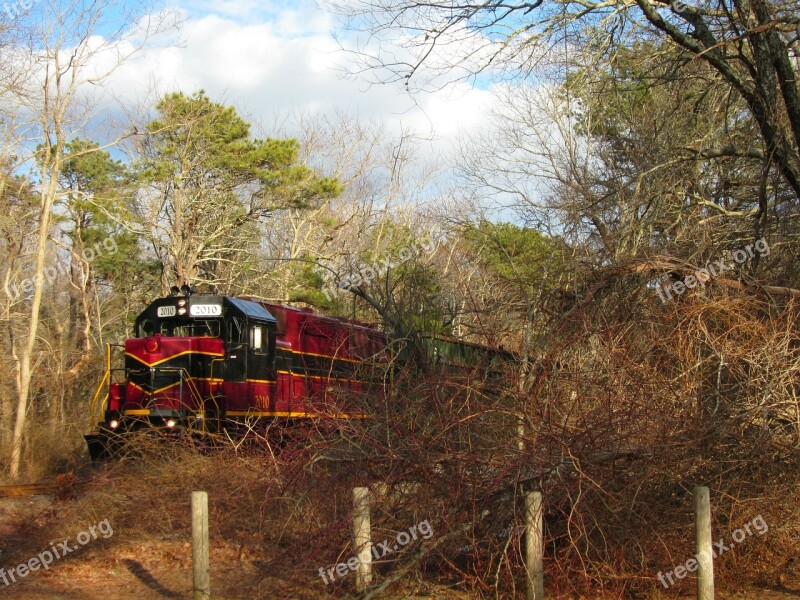 Train Nature Woods Scenic Cape Cod