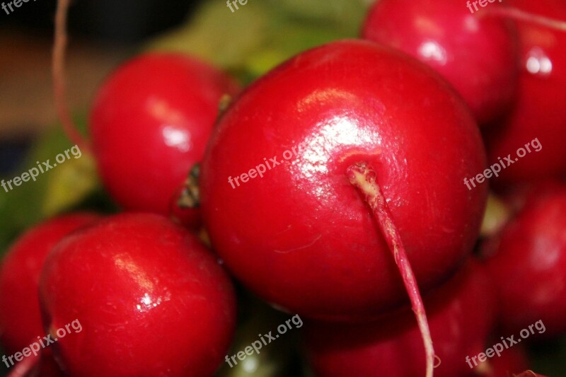 Radishes Radish Vegetables Raphanus Sativus Var Sativus Garden