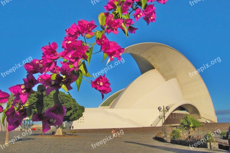 Tenerife Opera Santa Cruz De Tenerife Free Photos