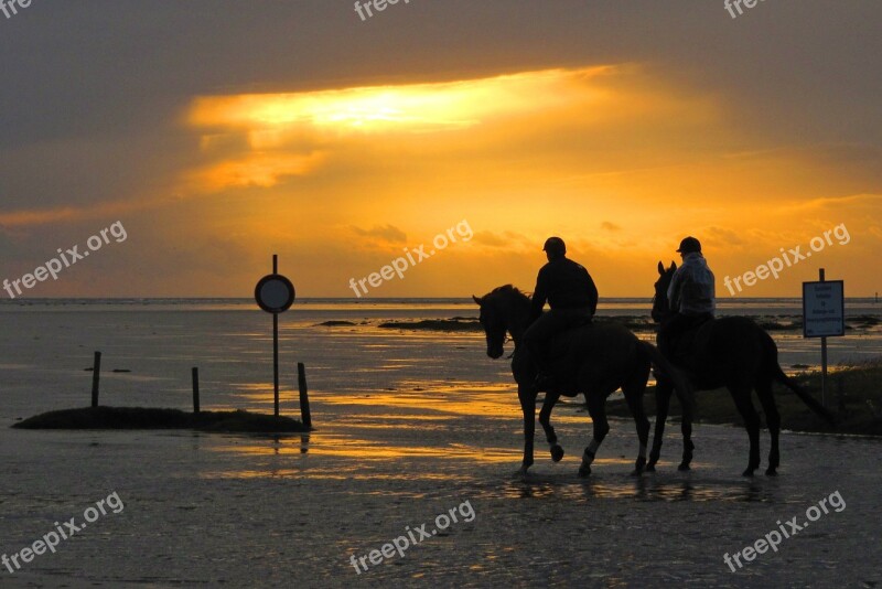 Ride Reiter Horses North Sea Sunset