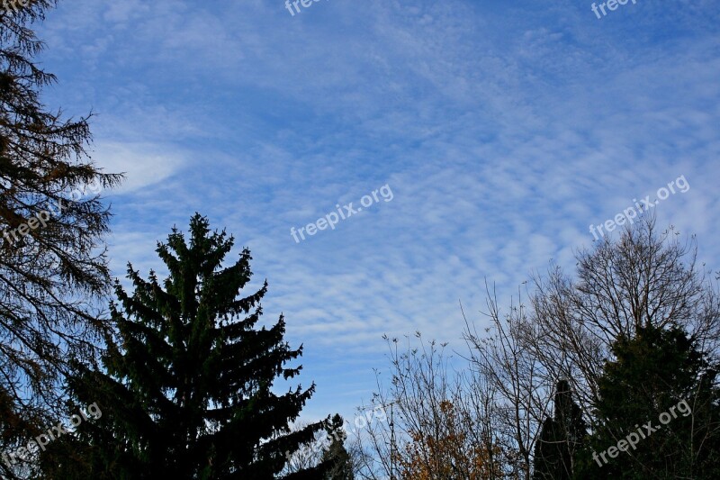 Sky Blue Landscape Outdoors Twig