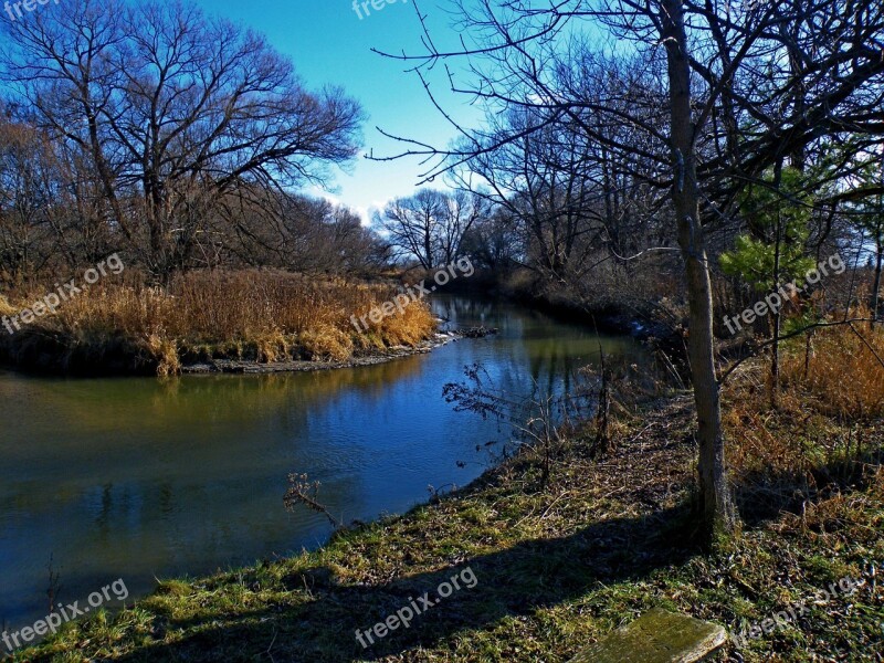 Tree Landscape Outdoors Autumn Season