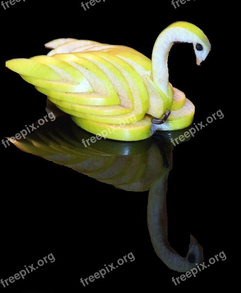 Swan Apple Creative Free Photos