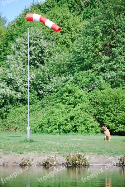 Wind Sock Wind Vane Wind Direction Wind Free Photos