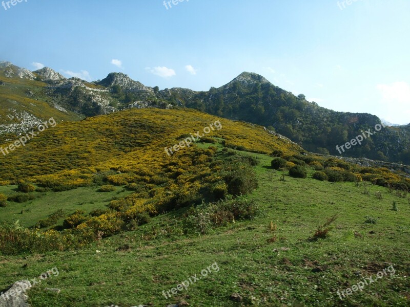 Lakes Covadonga Asturias Nature Free Photos