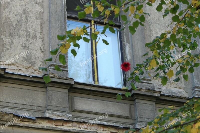 Window Old Window House Facade Building