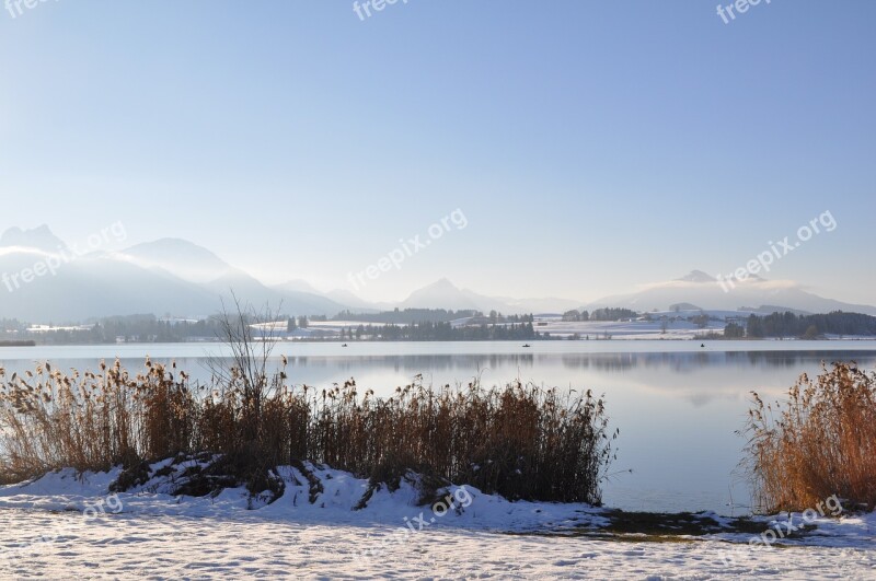 Allgäu Lake Winter Free Photos