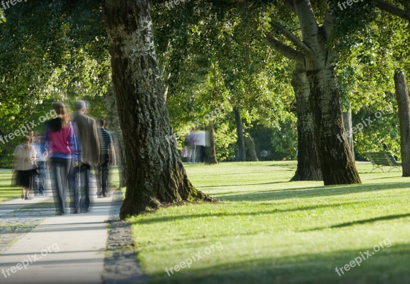 Park People Hiking Strolling Wandering