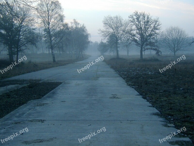 Away Morning Nature Mood Trees