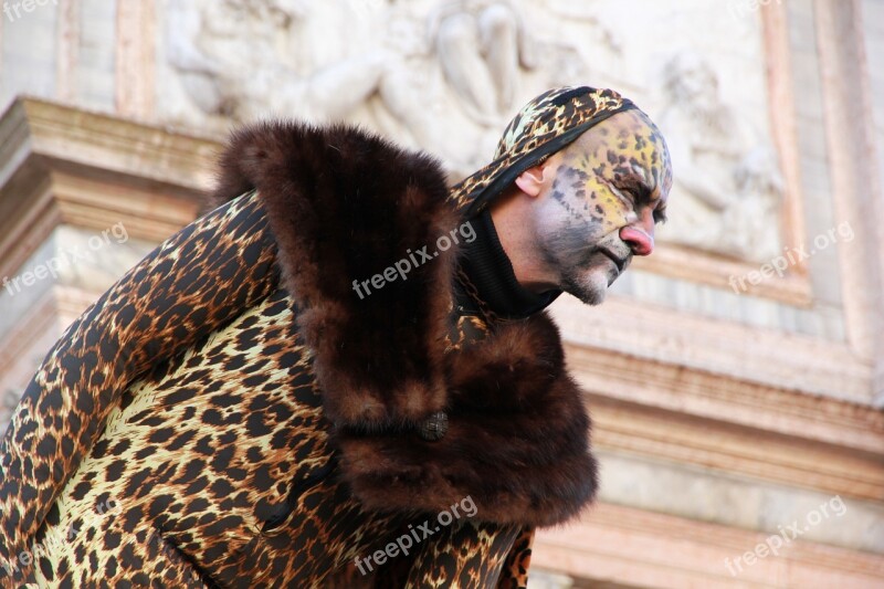 Suit Leopard Image Free Photos