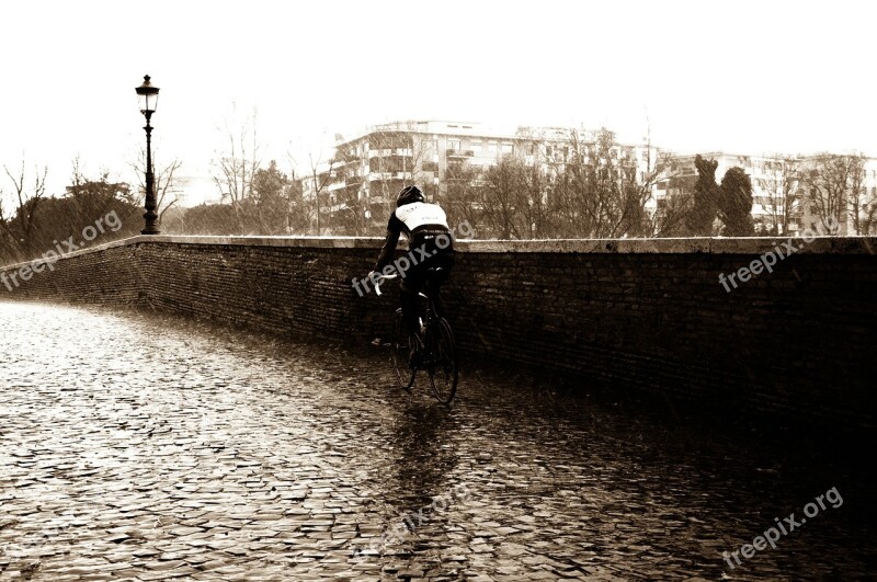 Cyclist Sports Bicycle Rain Rainy