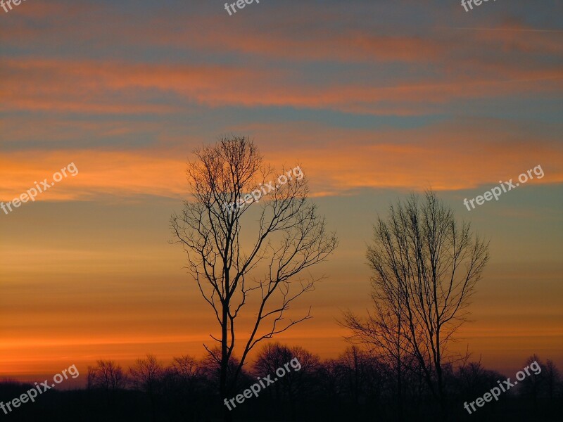 Skies Landscape Clouds Trees Silhouette