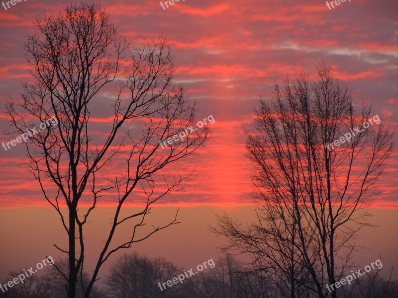 Morgenrot Clouds Bright Red Trees Silhouette