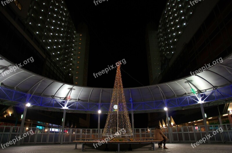 Nishinomiya Actor Nishinomiya Night View Christmas Tree