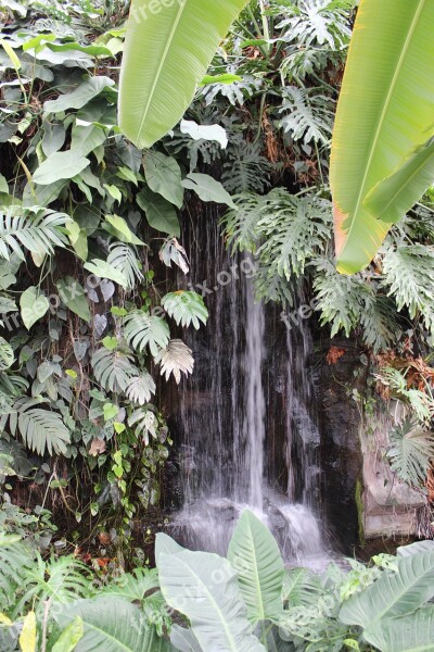 Nature Waterfall Tropics Green Landscape