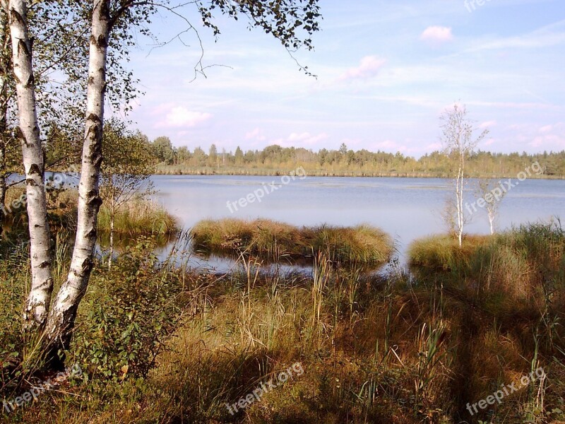 Wurzacher Ried Moor Lake Birch Nature Reserve