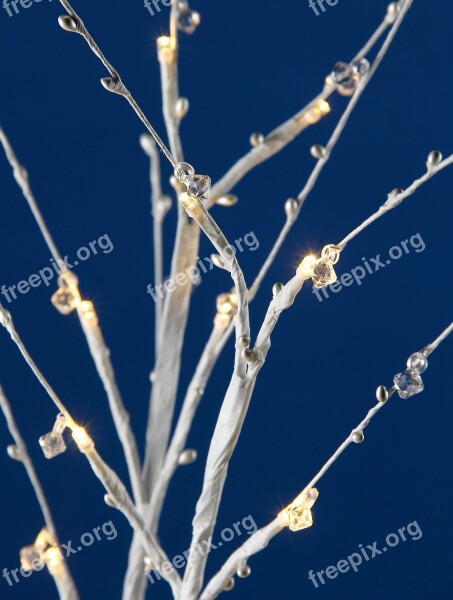 Led Lights Led Flower Ornaments Led Closeup Flower Close Up Crystal Flower