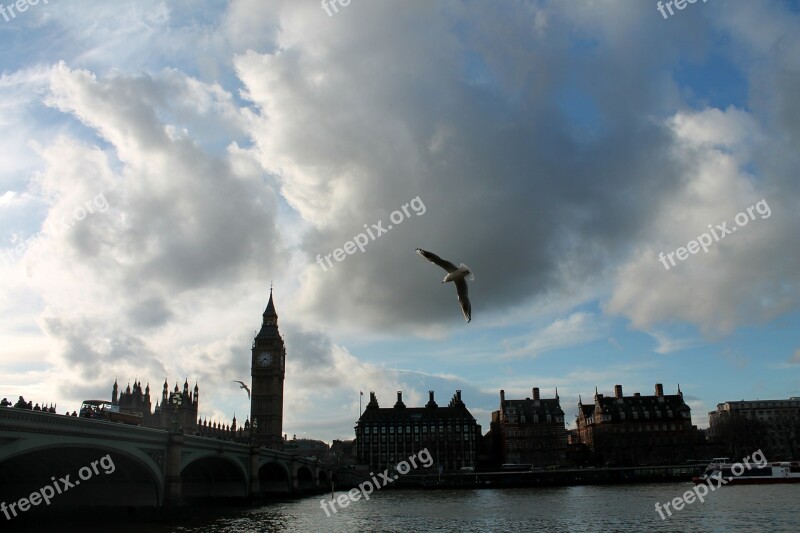 Big Ben Thames Sky London Bird