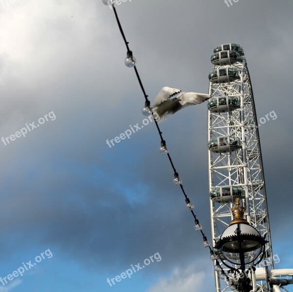 Flight Bird London Eye London Sky