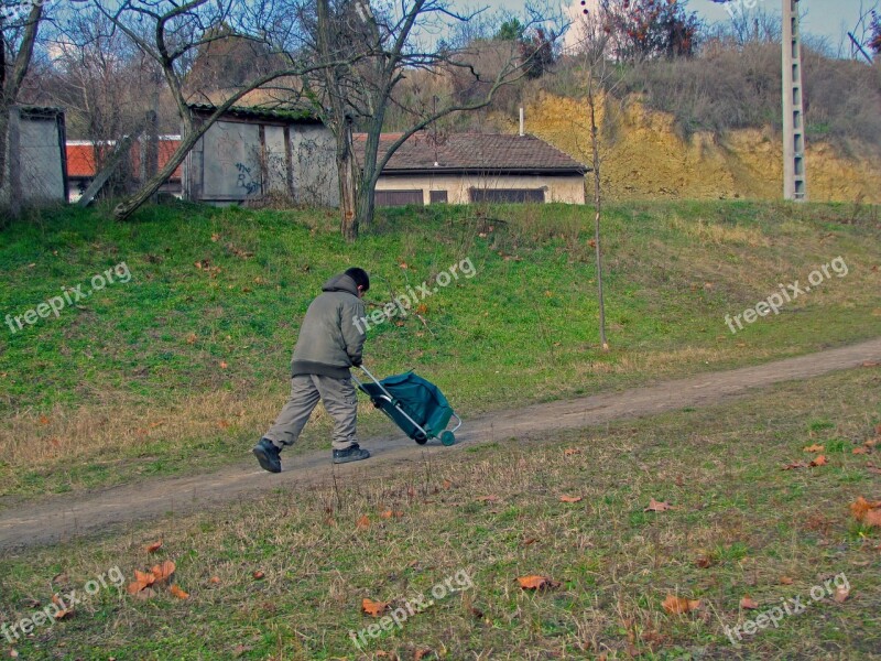 Boy Walk Kid Free Photos