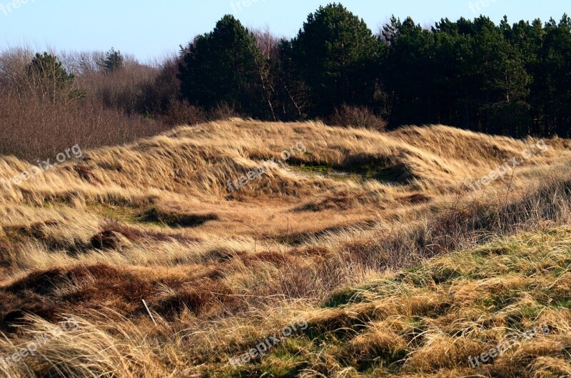 North Sea Nordfriesland Watts Wadden Sea World Heritage Sea