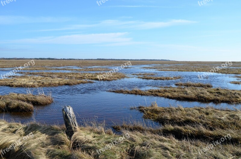 North Sea Wadden Sea Nordfriesland Watts World Heritage Sea