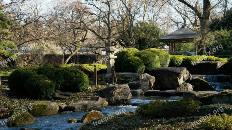 Asian Nature Japanese Japanese Garden Plant