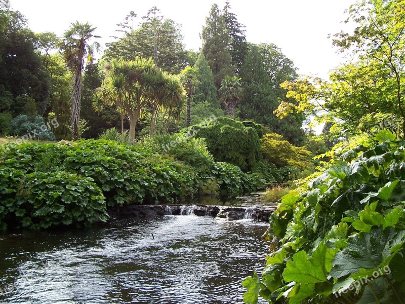 County Wicklow Ireland River Bank Plants