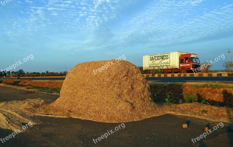 Sorghum Chaff Jowar Bagasse Fodder