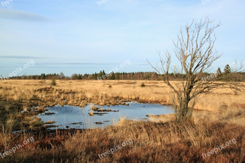 Landscape Plant Nature Rest Field