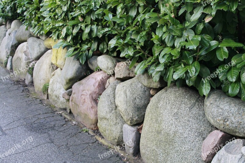 Hedge Stone Wall Stones Green Free Photos